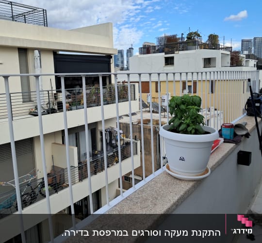 עציץ על מעקה מרפסת עם נוף לבניינים